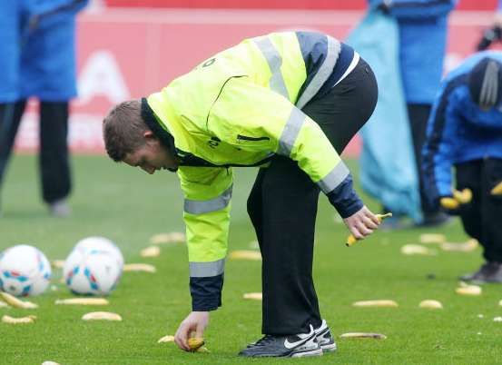 Photo : Ils ramassent des bananes