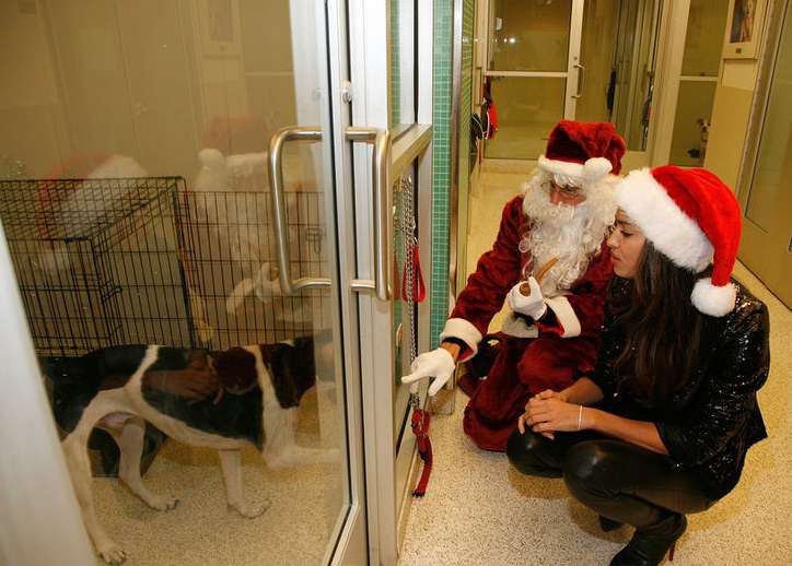 Photo : Madame CR7 et les animaux