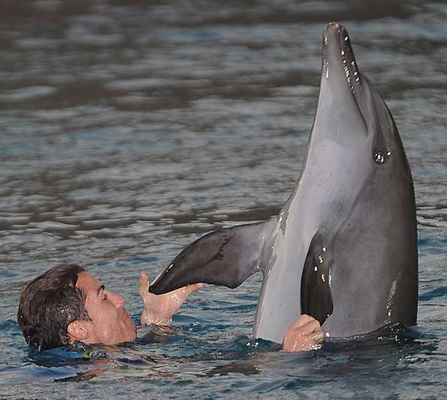 Photo : CR7 et les animaux