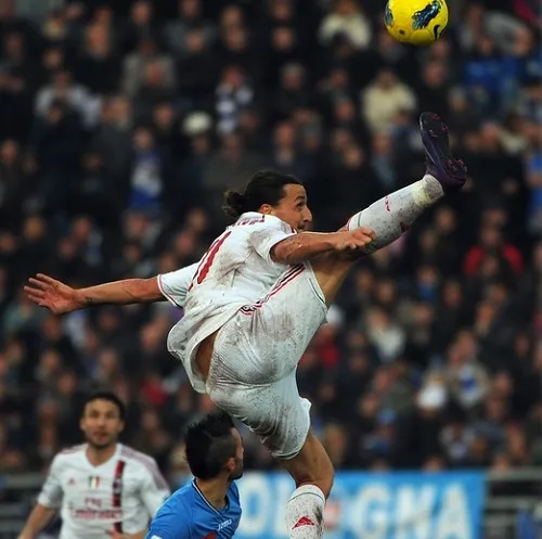 Photo : Kung-fu Zlatan