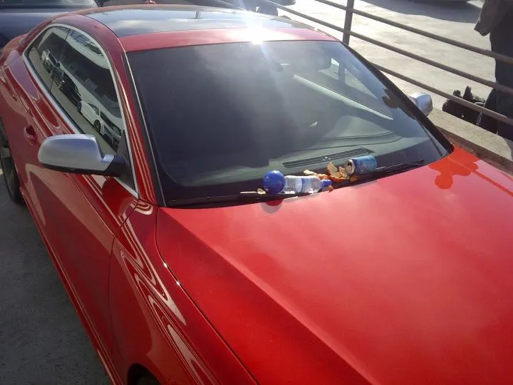 Photo: Puyol, ce porc