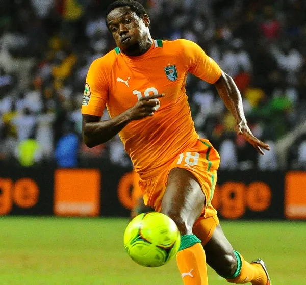 Les Eléphants se font la malle