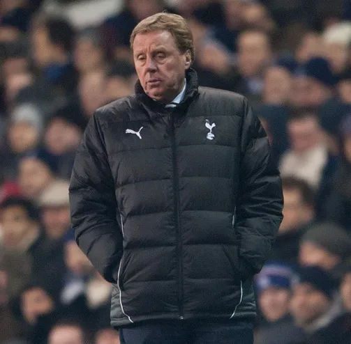 Redknapp fan de Scholes