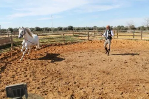 Photo : Sergio Ramos et son cheval
