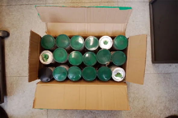 Fumis saisis chez les Green Angels