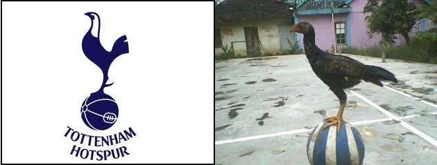Photo : l’emblème de Tottenham en vrai