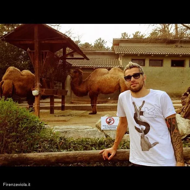 Photo : Behrami au zoo