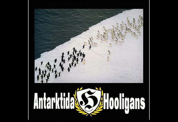 Photo : Antarctique Hooligans