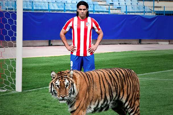 Photo : Falcao avec un vrai tigre