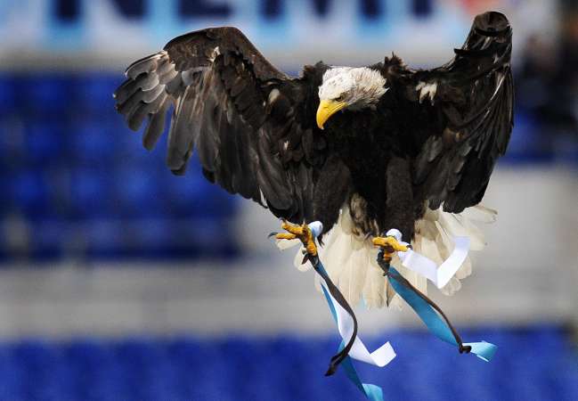 La fuite d’Olympia