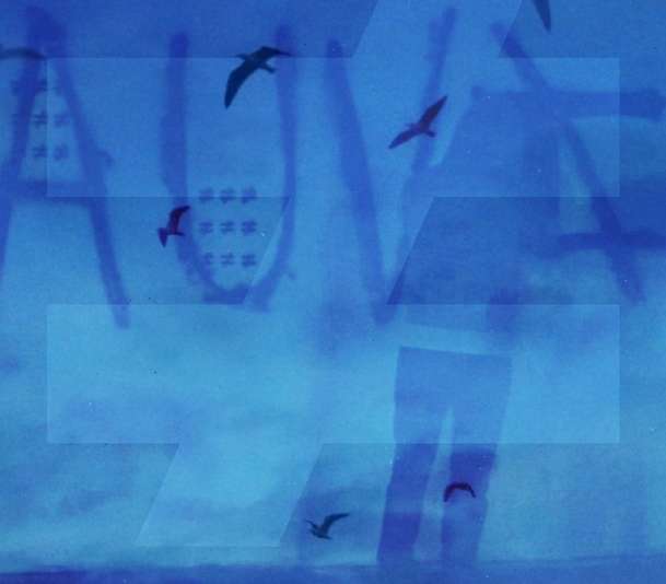 Fauve : «<span style="font-size:50%">&nbsp;</span>On est un peu les Didier Deschamps de la musique<span style="font-size:50%">&nbsp;</span>»