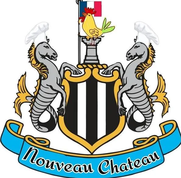 Photo: Nouveau logo  de Newcastle