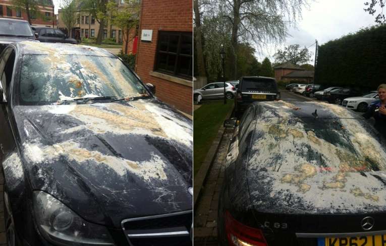 Photo : La bagnole d&rsquo;Owen vandalisée