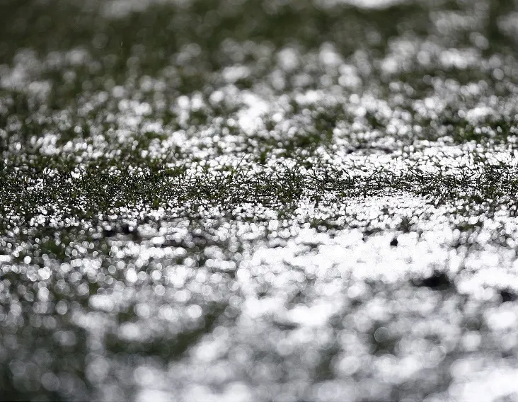 Nice-OL repoussé à demain