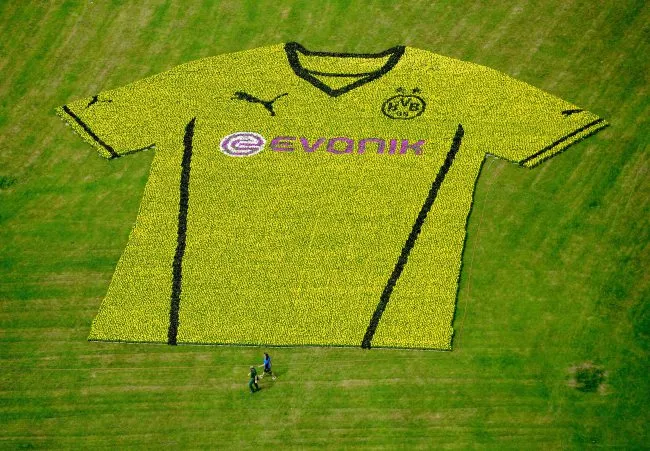 Photo : Le maillot de Dortmund en fleurs