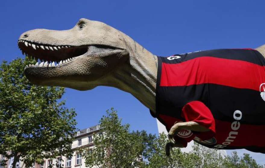 Photo : Le tyrannosaure de Francfort