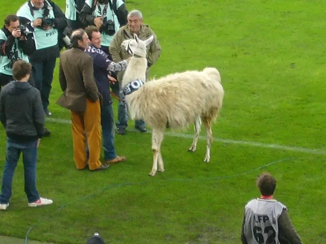 Photo: Bordeaux, une lama story