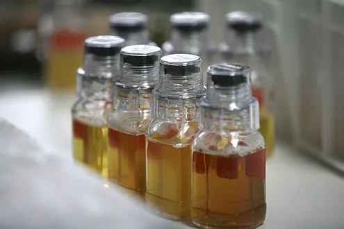 La FIFA change de labo