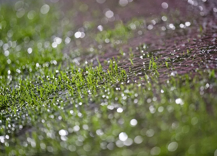 Brest-PSG finalement mercredi