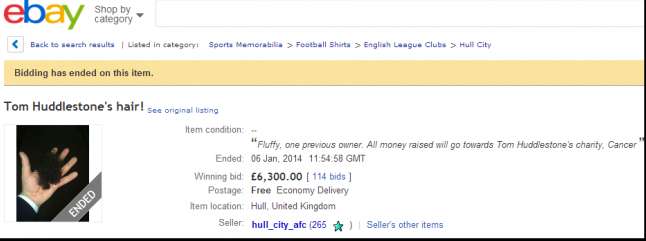 Photo : la touffe d’Huddlestone sur eBay