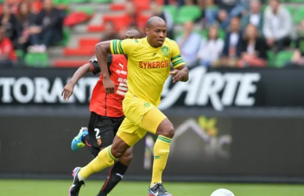 Twitter : Pancrate en lapin