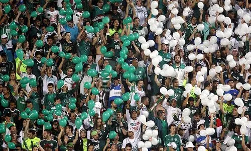 300 kilos de drogue à Palmeiras