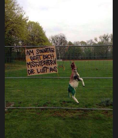 Photo : l&rsquo;immonde geste des fans de Brunswick