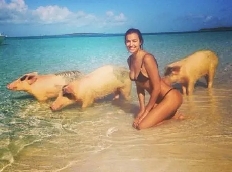 Photo : Irina Shayk et les cochons