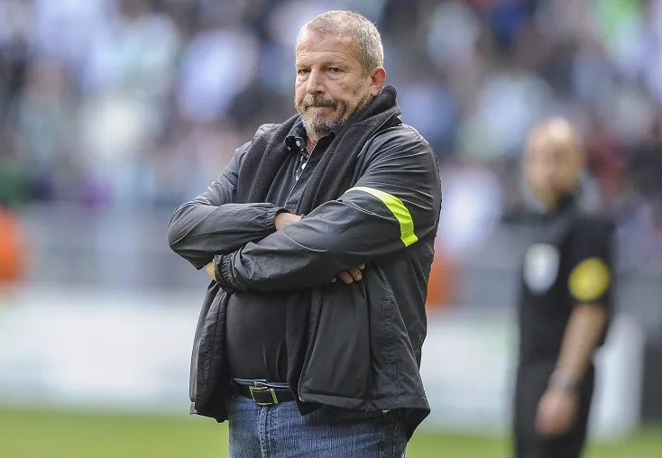 Courbis fait du petits bois de Sochaux