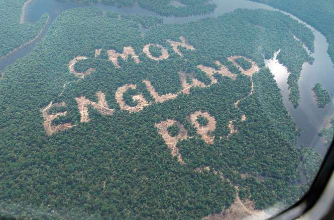 Photo : Déforestation anglaise