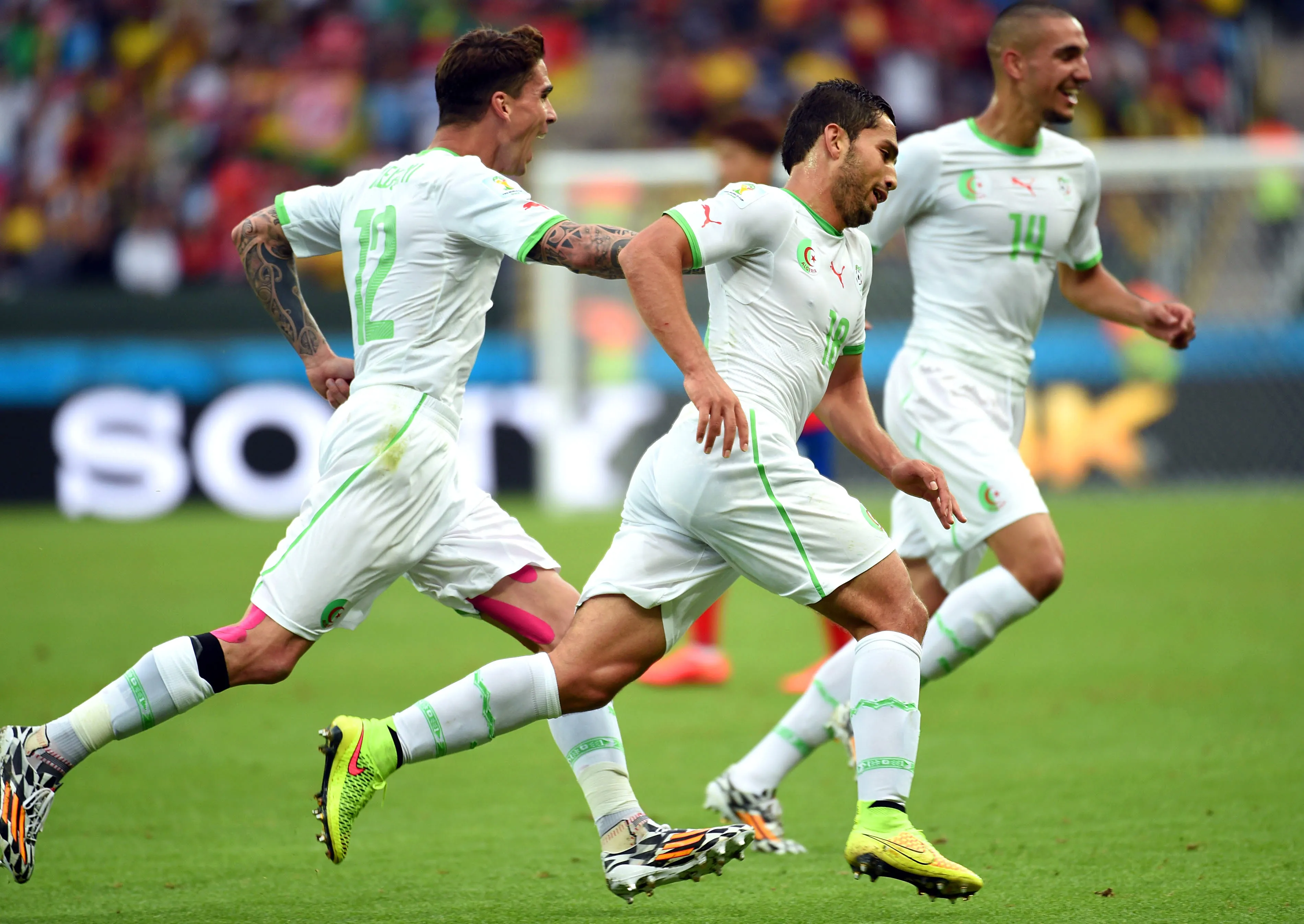 En direct : Algérie – Russie (1 – 1)
