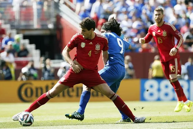 Javi Martínez, Robben et le Mondial 2010