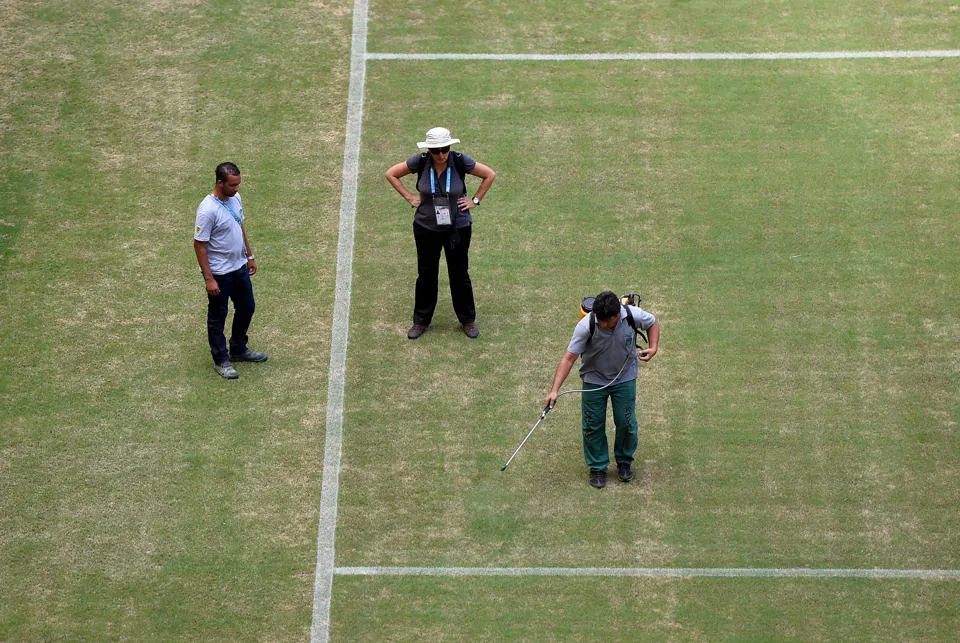 Photo : Le terrain peint en vert