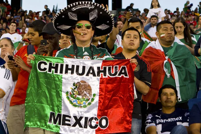 La fiche du supporter mexicain