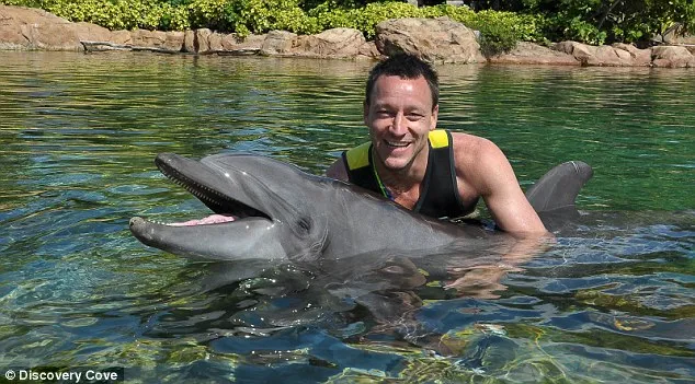 Photo : Terry nage avec les dauphins