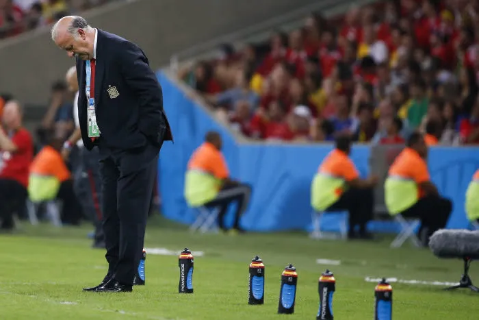 Del Bosque, mémoires d&rsquo;un éléphant