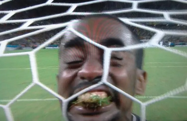 Photo : Barry mange de l’herbe