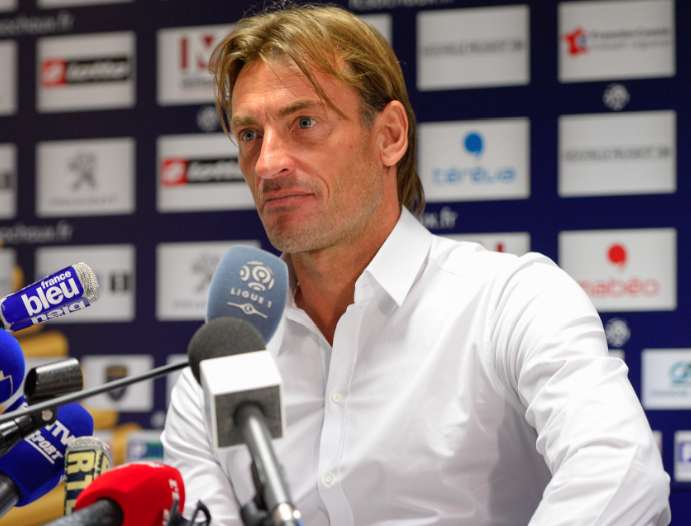 Renard vers la Côte d&rsquo;Ivoire ?