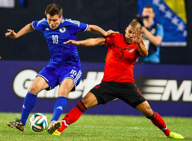 Misimovic ne jouera plus pour la Bosnie