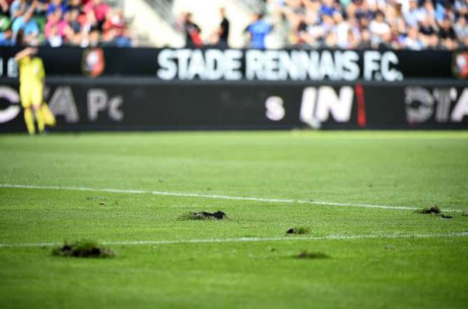 Changement de pelouse à Rennes