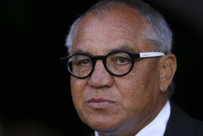 Fulham vire Magath