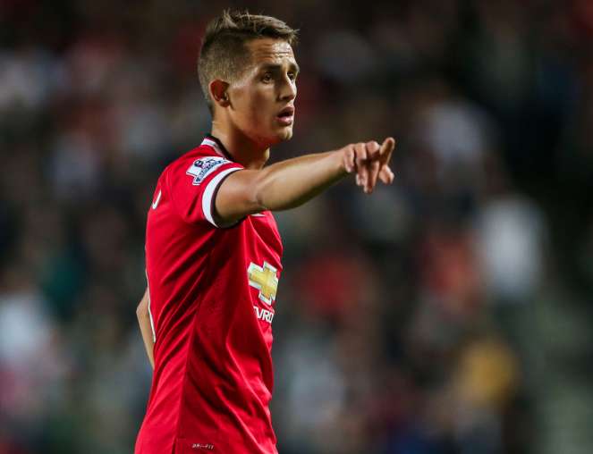 Pour Moyes, Januzaj va devenir un grand joueur