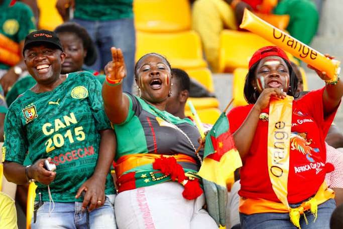 C'est qui le plus fort, le lion ou l'éléphant ?