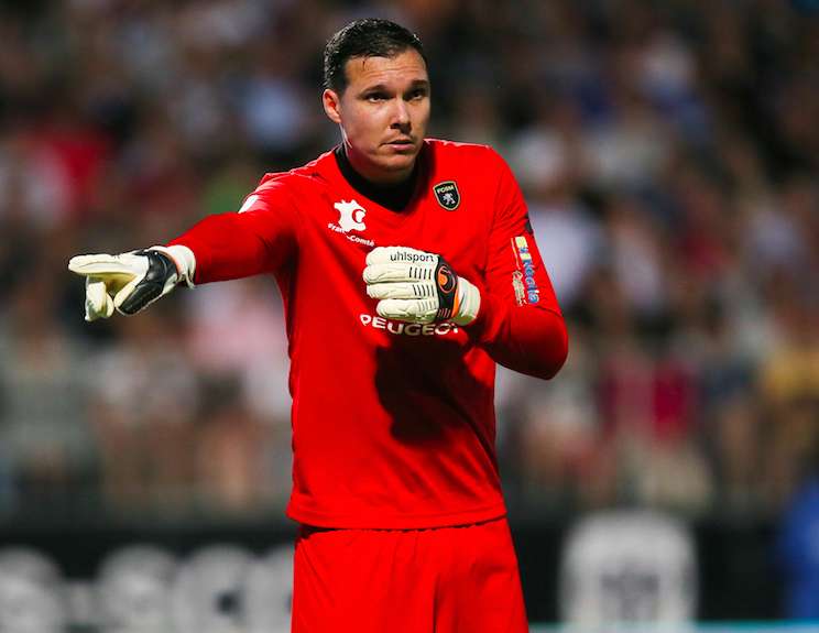 Renard ravi pour Yohann Pelé