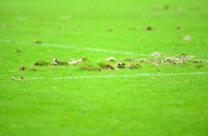 Stade Vélodrome : faucons contre pigeons