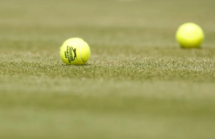 Silence, ça pousse !