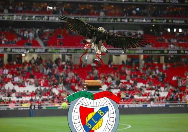 Mais au fait, ils veulent dire quoi ces blasons ? Partie 11