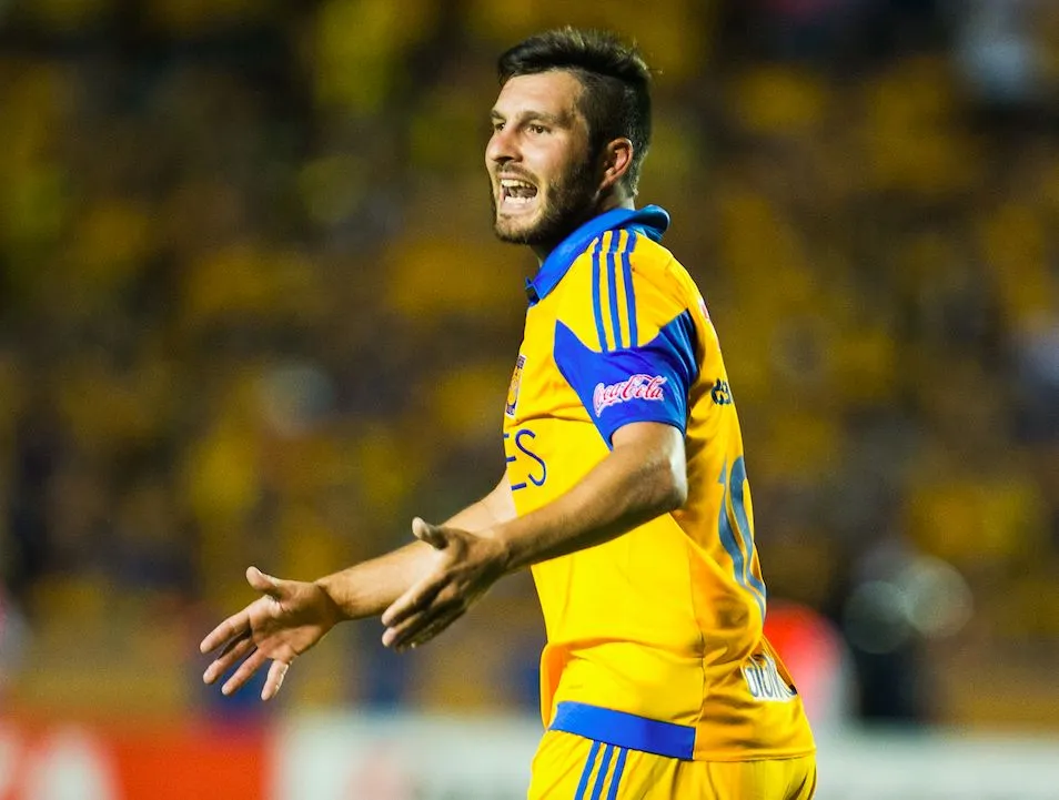 Comment s&rsquo;en sortent ceux qui ont quitté la Ligue 1 ?