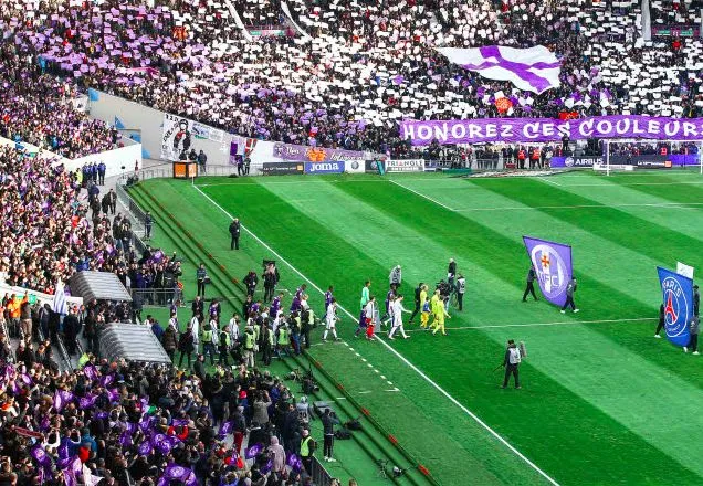 Une luminothérapie pour réparer la pelouse du Stadium