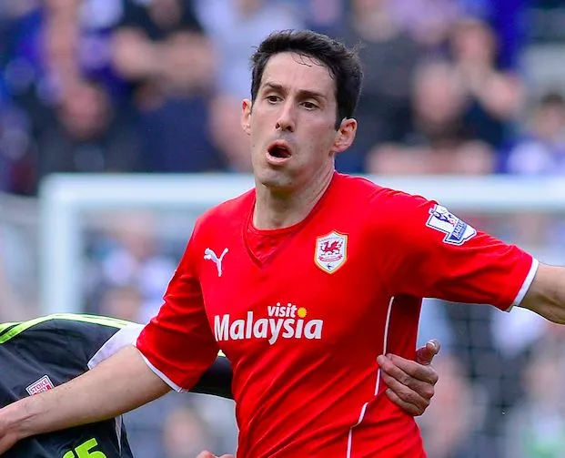 Mais au fait, ils veulent dire quoi ces blasons ?